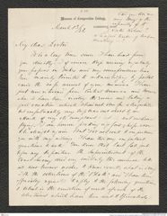 Nachlass Franz Steindachner, Brief von Alexander Agassiz an Franz Steindachner (13.03.1882), Inv.Nr. 2.06, Seite 1